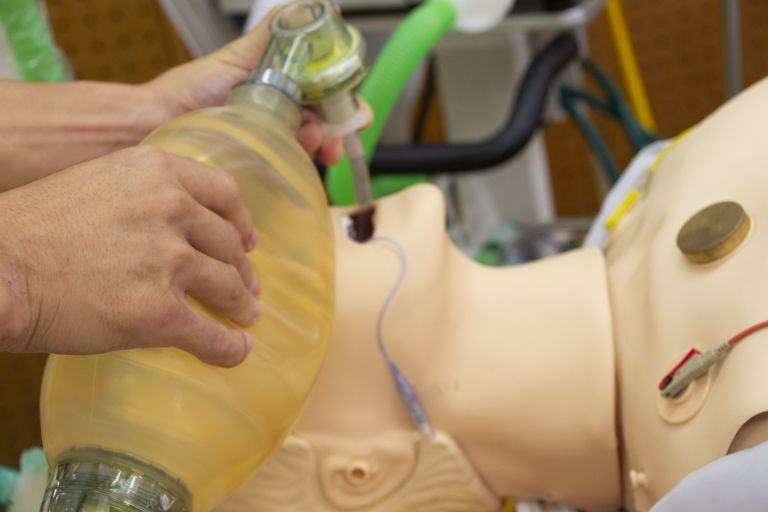 みなとみらい内科で見逃せない健康のヒントとは？驚きの発見をお届け！